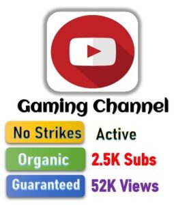 Gaming Youtube Channel 2.5K Subs 52K Views